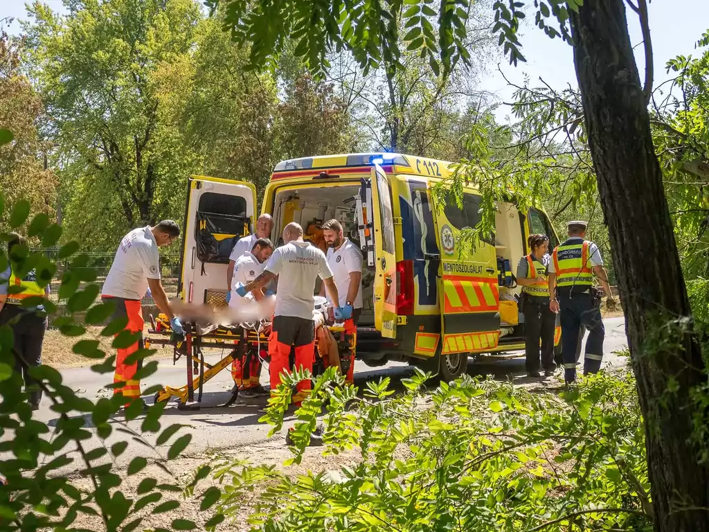 Fáknak csapódott egy teherautó Kunfehértőn, sérült a sofőr