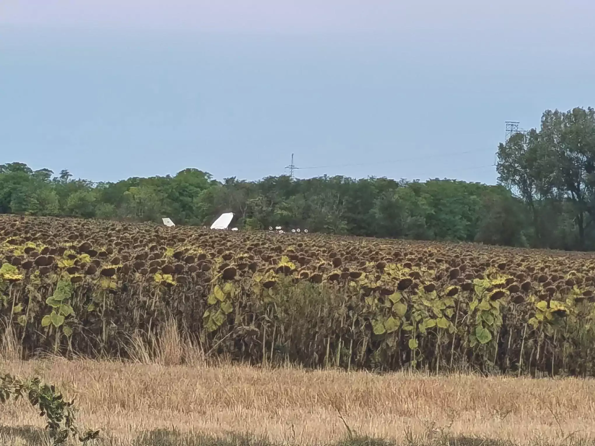 Két Gripen emelkedett a levegőbe egy Kalocsáról elindult kisrepülő miatt