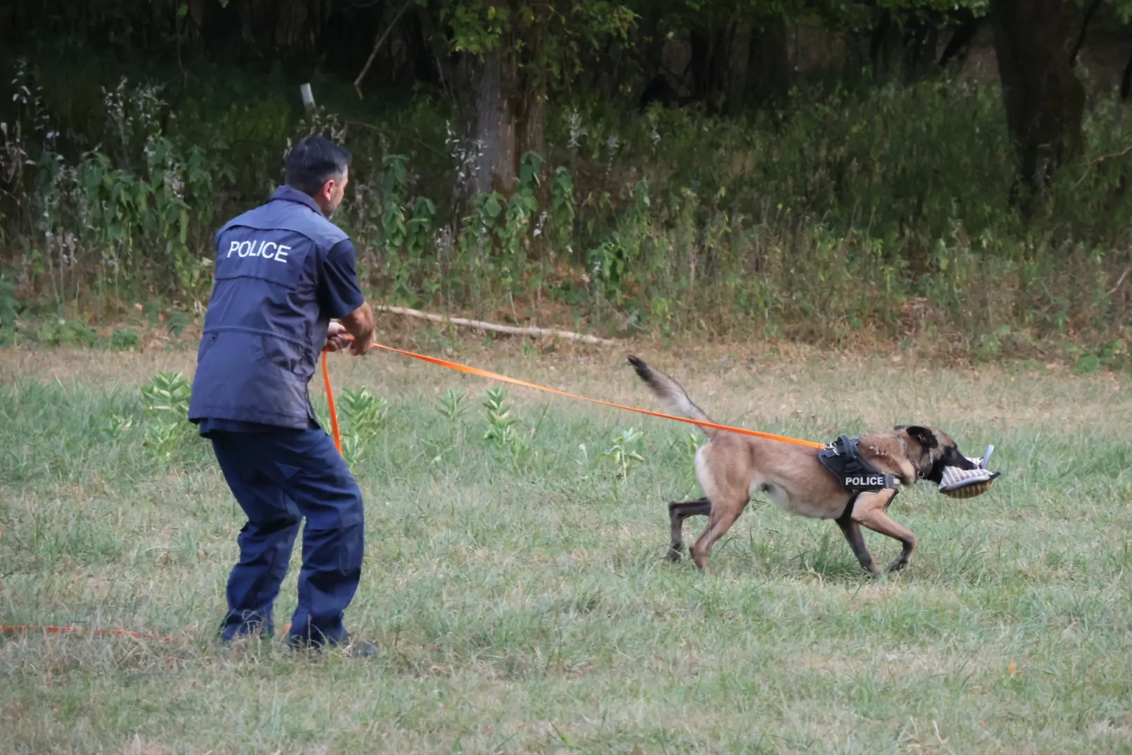 Nyomkövetést és személykeresést gyakoroltak a rendőrségi kutyák Szekszárdnál