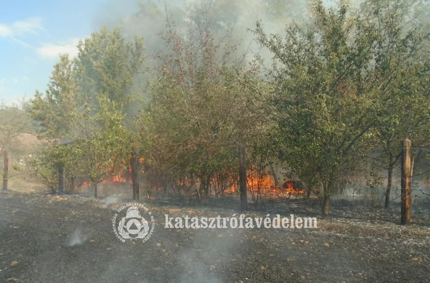 Tűz és viharkárok miatt riasztották a baranyai tűzoltókat